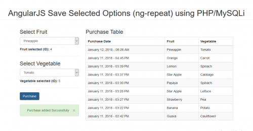 angular selected option - angular select ngmodel option